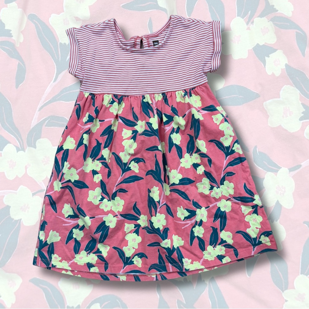 Tea Collection Striped Pink and Green Floral Dress